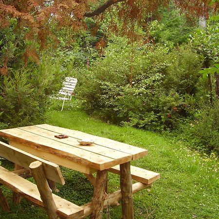 Hosteria Brisas Del Cerro Вила ла Ангостура Екстериор снимка